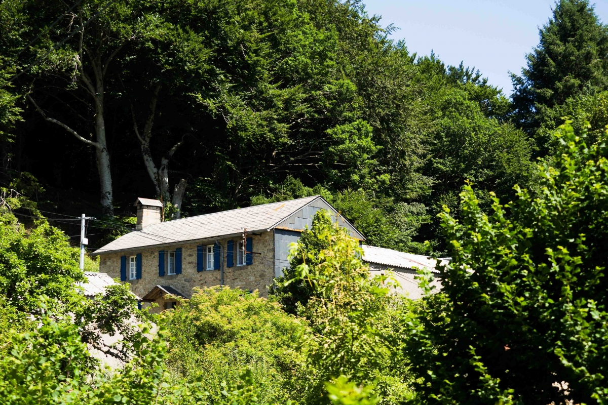 Galerie-Pension-72